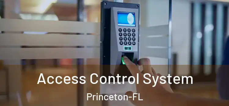  Access Control System Princeton-FL