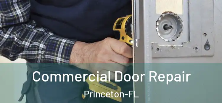  Commercial Door Repair Princeton-FL