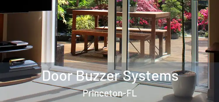  Door Buzzer Systems Princeton-FL