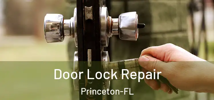  Door Lock Repair Princeton-FL