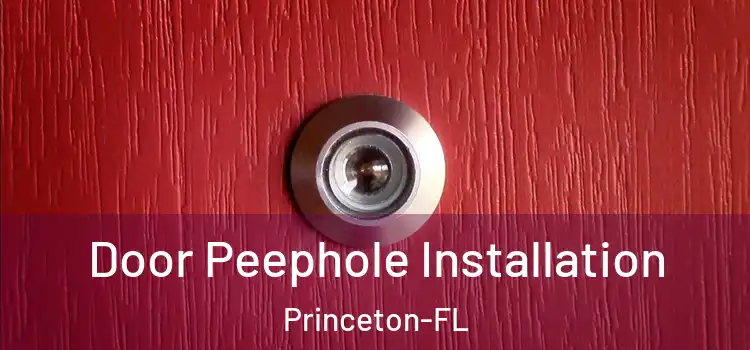  Door Peephole Installation Princeton-FL