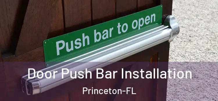  Door Push Bar Installation Princeton-FL
