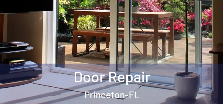  Door Repair Princeton-FL
