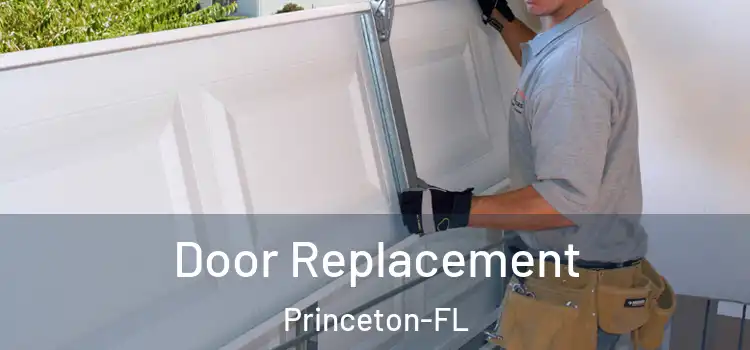  Door Replacement Princeton-FL