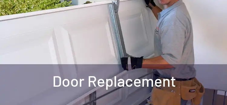  Door Replacement 