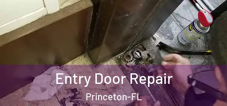  Entry Door Repair Princeton-FL