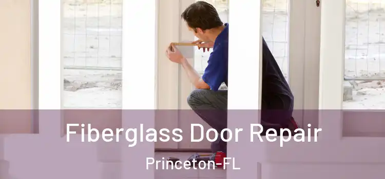  Fiberglass Door Repair Princeton-FL