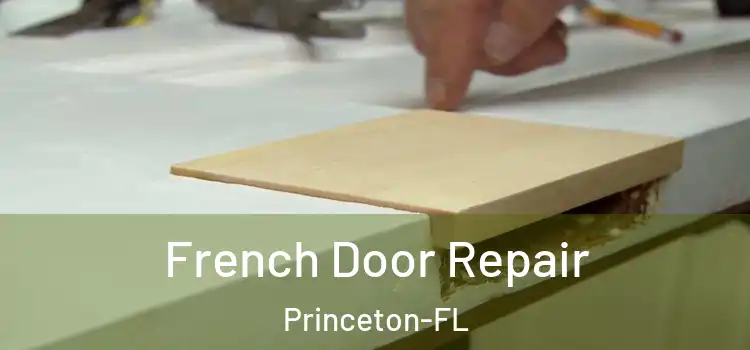  French Door Repair Princeton-FL