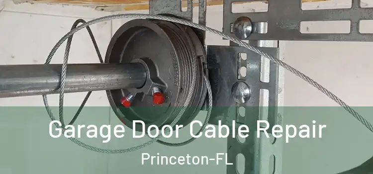  Garage Door Cable Repair Princeton-FL