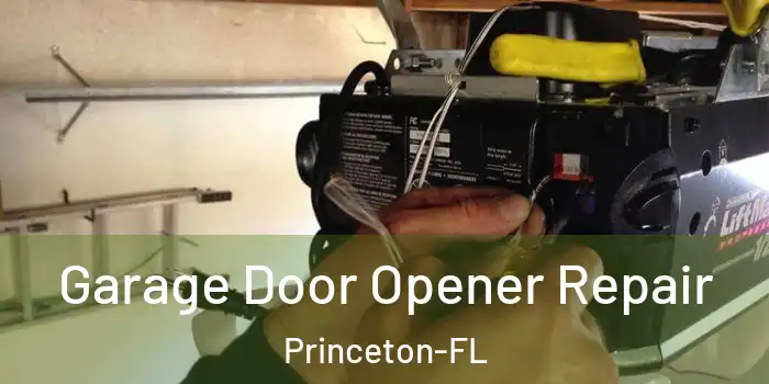  Garage Door Opener Repair Princeton-FL