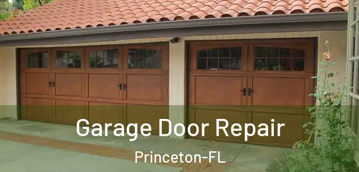  Garage Door Repair Princeton-FL