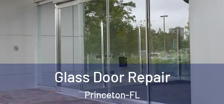  Glass Door Repair Princeton-FL