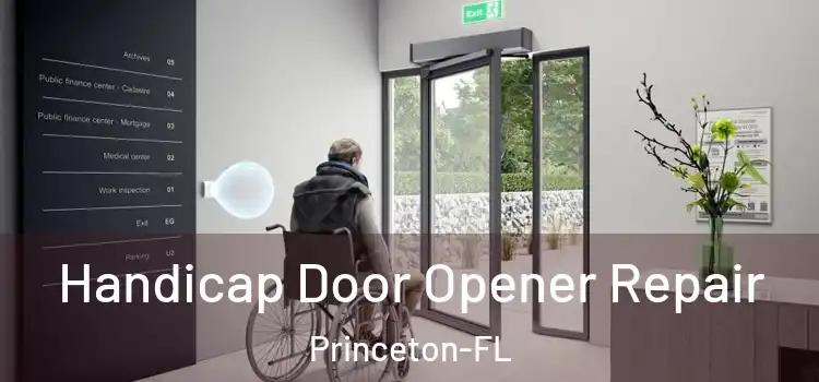  Handicap Door Opener Repair Princeton-FL