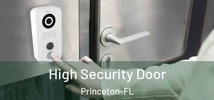 High Security Door Princeton-FL