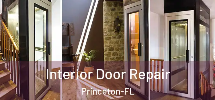  Interior Door Repair Princeton-FL