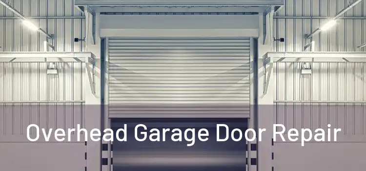  Overhead Garage Door Repair 