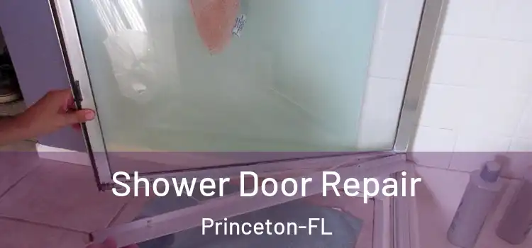  Shower Door Repair Princeton-FL