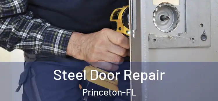  Steel Door Repair Princeton-FL
