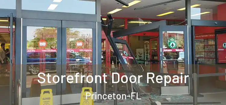  Storefront Door Repair Princeton-FL