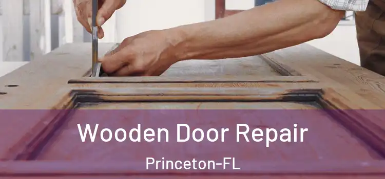  Wooden Door Repair Princeton-FL